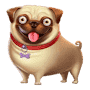 Мопс Мопс